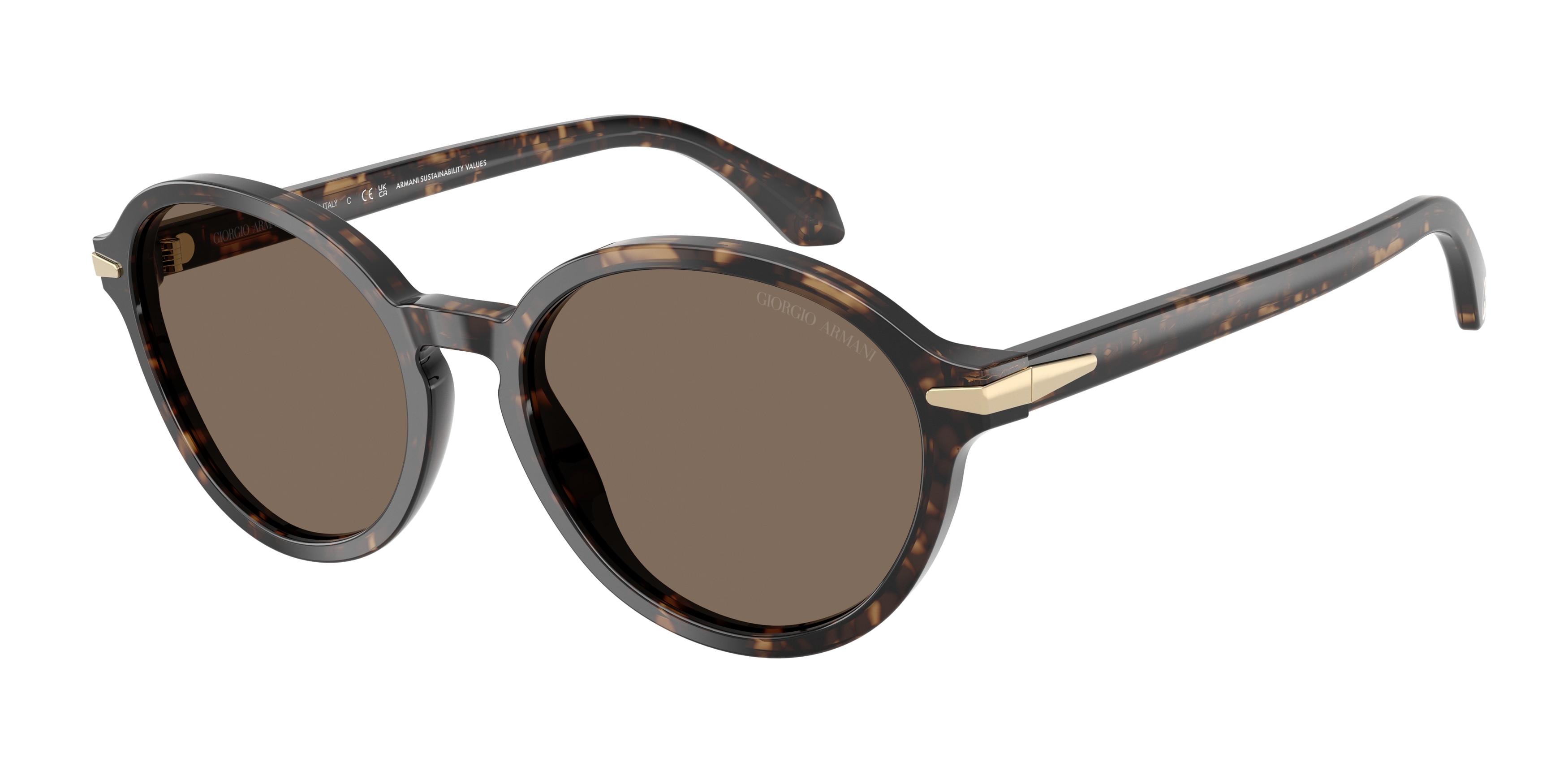 Giorgio Armani AR8237 623573  